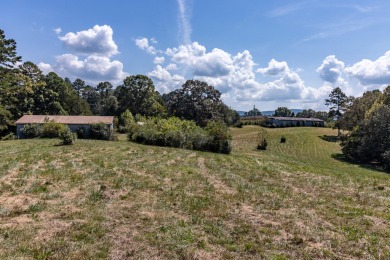 (private lake, pond, creek) Home For Sale in Dunlap Tennessee