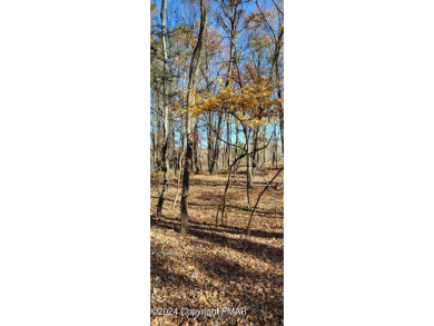 Lake Acreage For Sale in East Stroudsburg, Pennsylvania