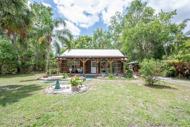 Lake Home For Sale in Georgetown, Florida