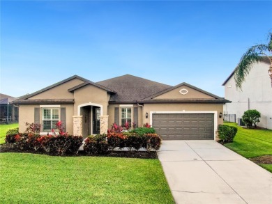 Lake Home For Sale in Parrish, Florida