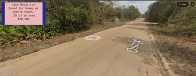 Lake Lot For Sale in Interlachen, Florida