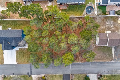 Build your dream home in the desirable Pine Lake Park section of - photo 4