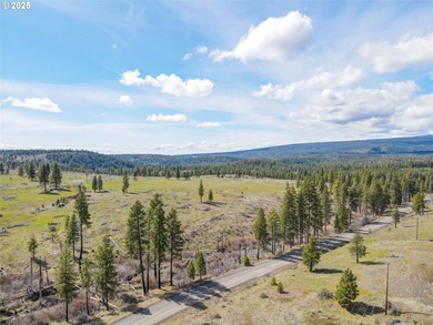 Lake Acreage For Sale in Goldendale, Washington