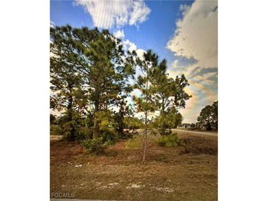 Lehigh Acres Area Lot For Sale in Lehigh Acres Florida
