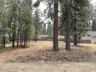 Lake Lot For Sale in Chester, California