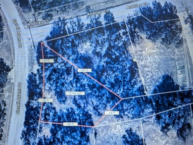 Lake Bridgeport Lot For Sale in Runaway Bay Texas