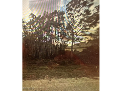 Lehigh Acres Area Lot For Sale in Lehigh Acres Florida