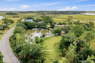 A truly rare offering in Charleston's sought-after Sol Legare - photo 3