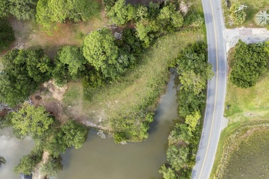 A truly rare offering in Charleston's sought-after Sol Legare - photo 4