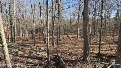 Lake Lot For Sale in Bushkill, Pennsylvania