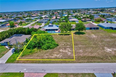 Cape Coral Lakes Area Lot Sale Pending in Cape Coral Florida