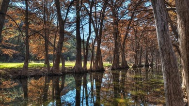(private lake, pond, creek) Home For Sale in Leakey Texas