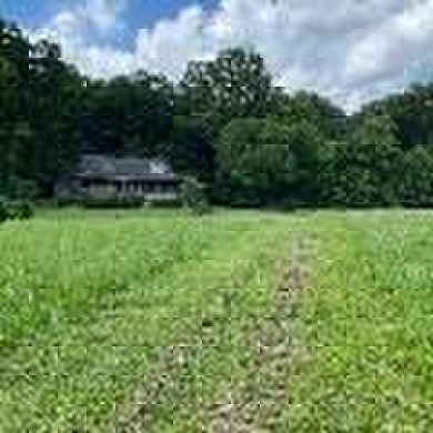Hiwassee River Home For Sale in Delano Tennessee