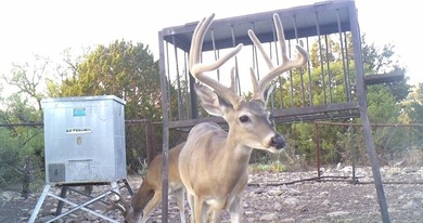 (private lake, pond, creek) Acreage For Sale in Rocksprings Texas