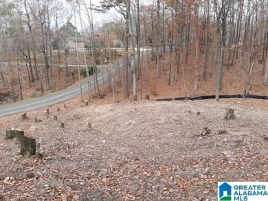 This acreage is situated between and connects to both Lakeside - photo 4