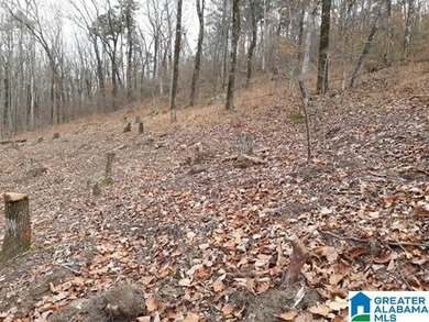 This acreage is situated between and connects to both Lakeside - photo 5