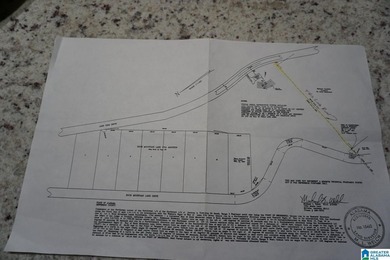 This acreage is situated between and connects to both Lakeside - photo 7