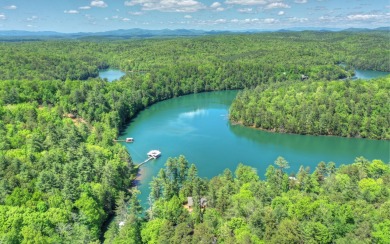 Lake Blue Ridge Lot For Sale in Blue Ridge Georgia