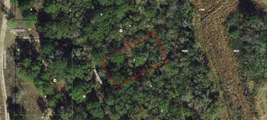 Citrus Lake  Lot For Sale in Inverness Florida