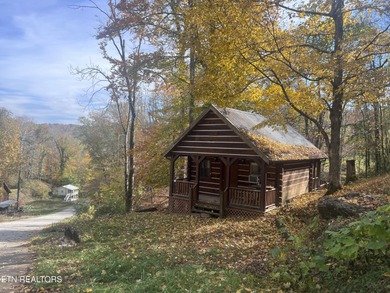 Lake Home For Sale in Alpine, Tennessee