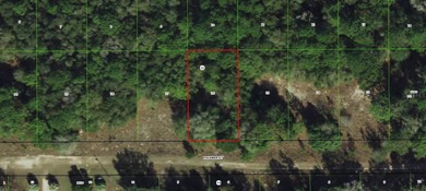 Citrus Lake  Lot For Sale in Inverness Florida