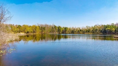 A versatile 60-acre property in the heart of Montgomery County - photo 32