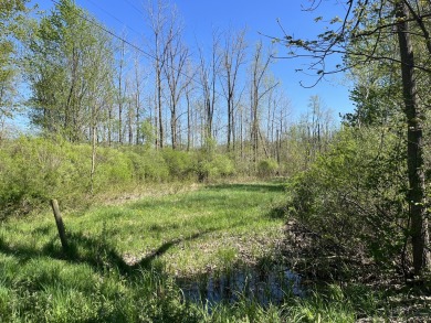 Remarkable location on over 28 acres of property on paved road - Lake Acreage For Sale in Paw Paw, Michigan