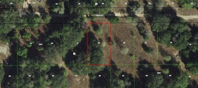 Citrus Lake  Lot For Sale in Inverness Florida