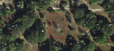 Citrus Lake  Lot For Sale in Inverness Florida