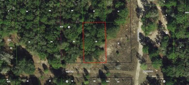 Citrus Lake  Lot For Sale in Inverness Florida