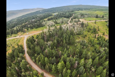 Utah Lake Acreage For Sale in Spanish Fork Utah