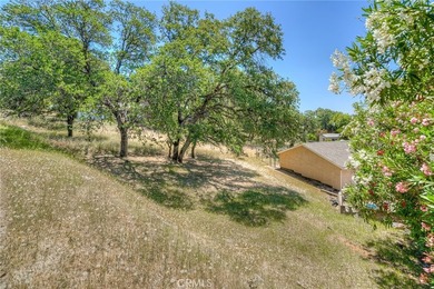 9 Chaparral - photo 15