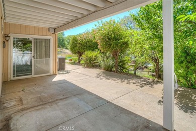 9 Chaparral - photo 22