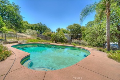 9 Chaparral - photo 24