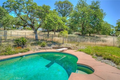 9 Chaparral - photo 25