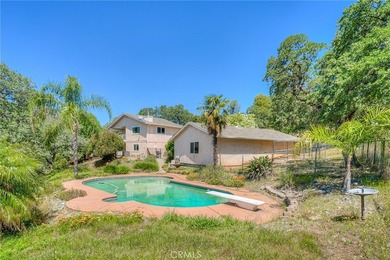 9 Chaparral - photo 26