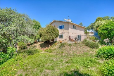 9 Chaparral - photo 27