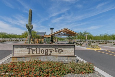 Welcome to this brand-new home in Trilogy at Verde River on a - photo 36