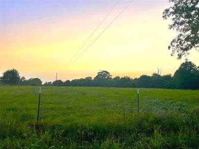 (private lake, pond, creek) Acreage For Sale in De Kalb Texas