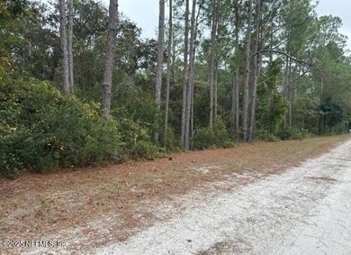 Lake George Acreage For Sale in Georgetown Florida