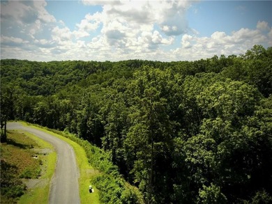 Coosawattee River - Gilmer County Lot For Sale in Ellijay Georgia