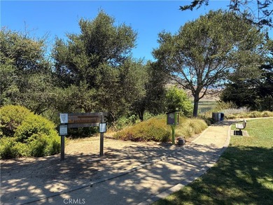 833 Escuela Ct - photo 27