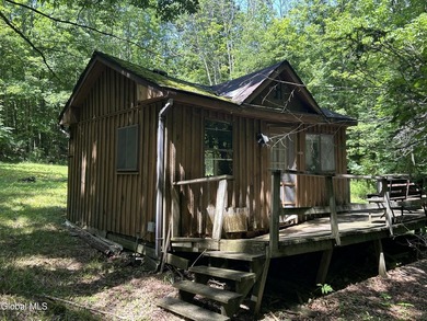 Imagine owning a 10-acre wooded parcel with a seasonal cabin - photo 1