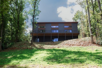 Lake Home For Sale in Hardy, Virginia