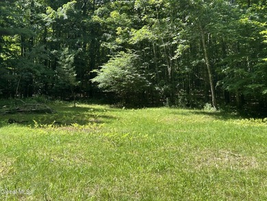 Imagine owning a 10-acre wooded parcel with a seasonal cabin - photo 2