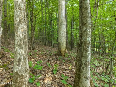 Imagine owning a 10-acre wooded parcel with a seasonal cabin - photo 3