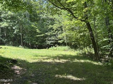 Imagine owning a 10-acre wooded parcel with a seasonal cabin - photo 4