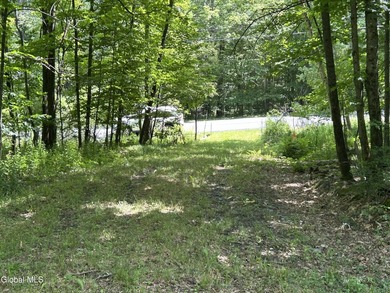 Imagine owning a 10-acre wooded parcel with a seasonal cabin - photo 5