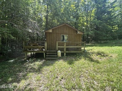 Imagine owning a 10-acre wooded parcel with a seasonal cabin - photo 6