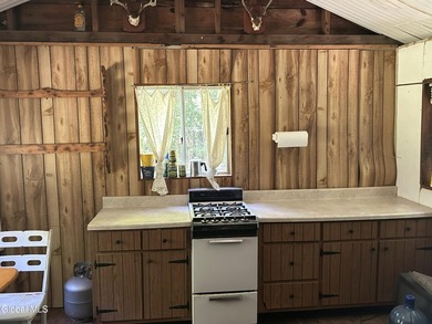 Imagine owning a 10-acre wooded parcel with a seasonal cabin - photo 7